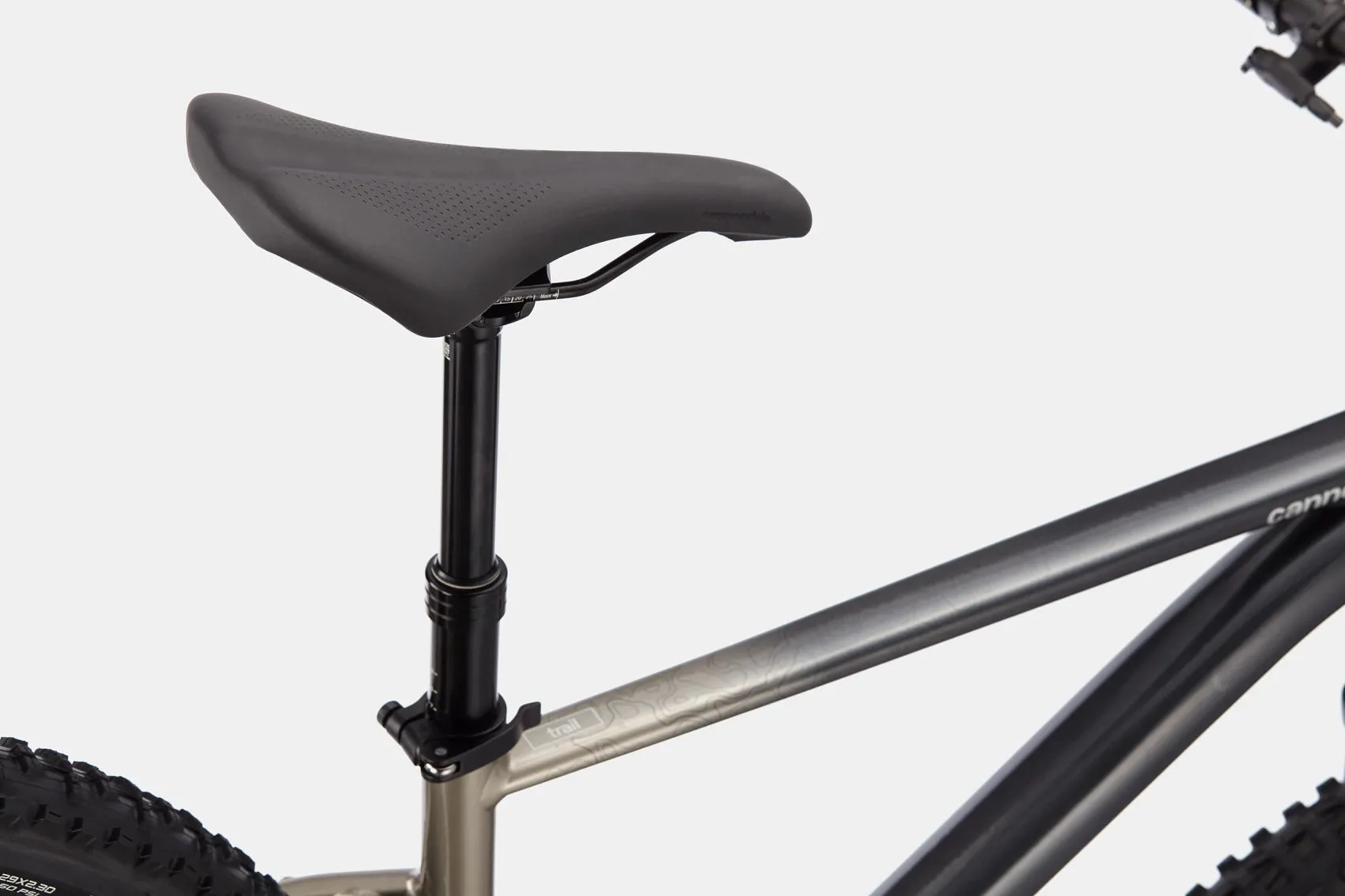 Cannondale Trail SE 1