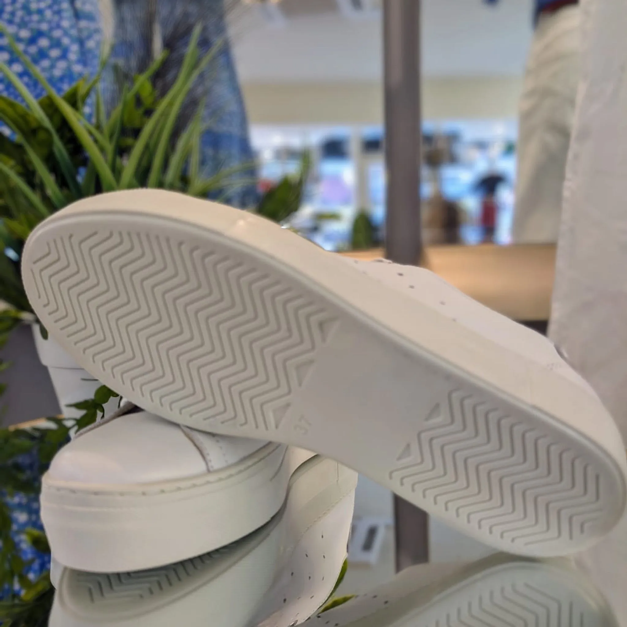 Carmela Leather White Trainers