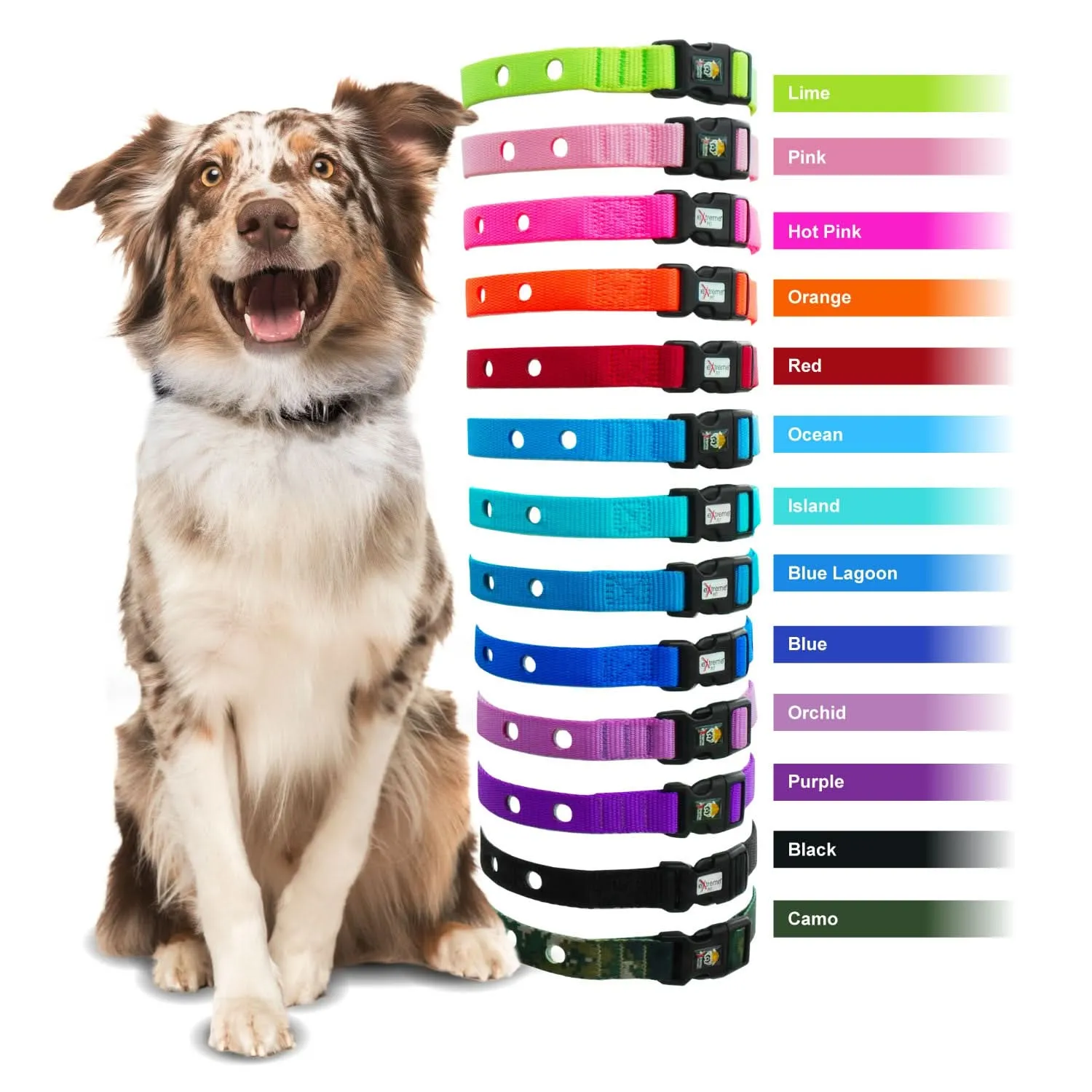 eXtreme Dog Fence Collar Strap for in ground fence receivers - Red