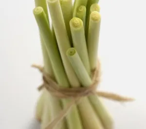 Lemongrass Soy Candle Tin