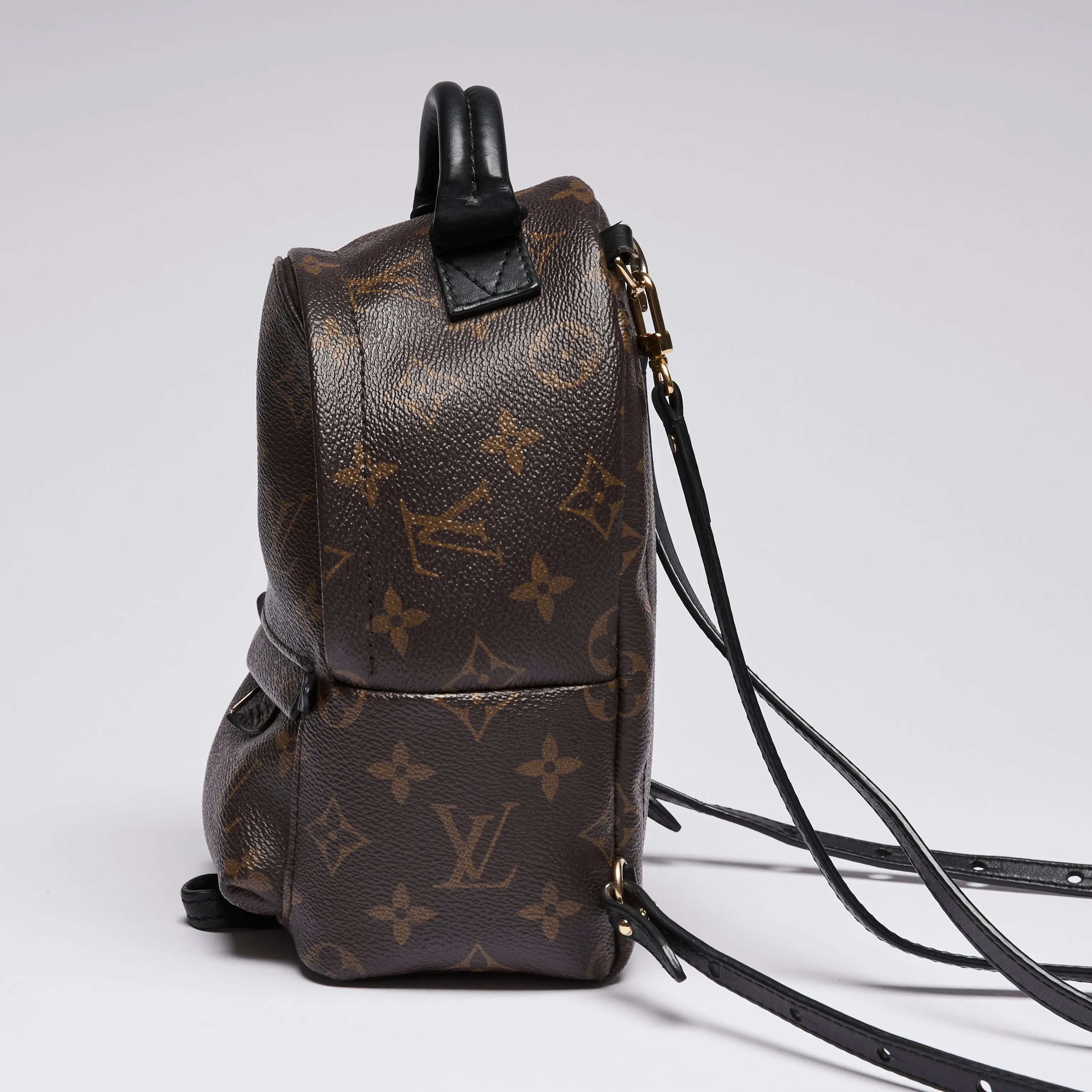 Louis Vuitton Monogram Canvas Mini Palm Spring Back Pack