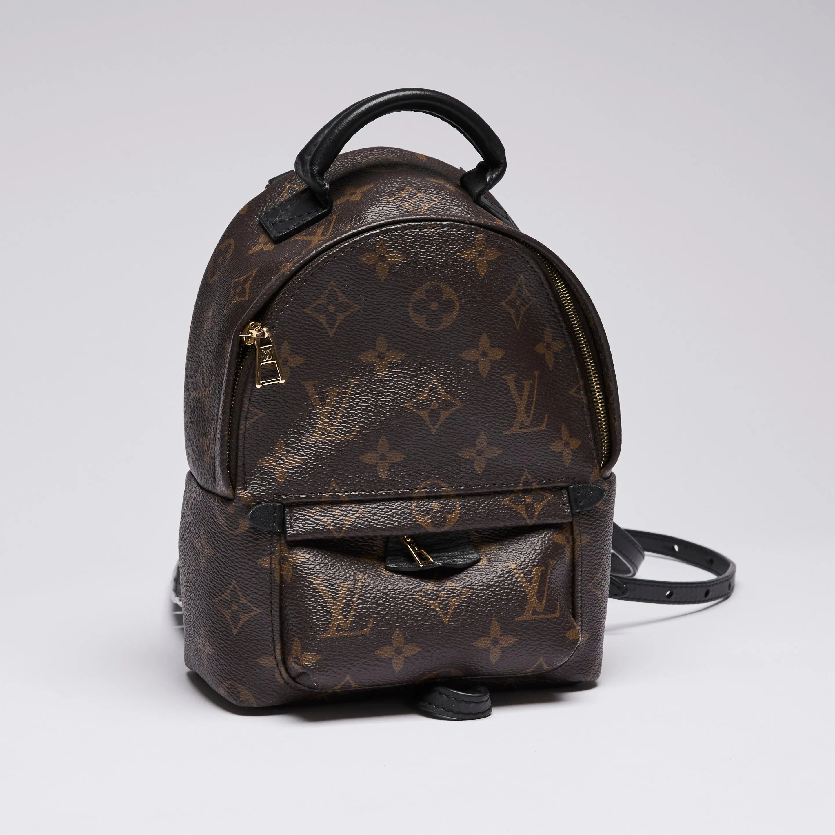 Louis Vuitton Monogram Canvas Mini Palm Spring Back Pack