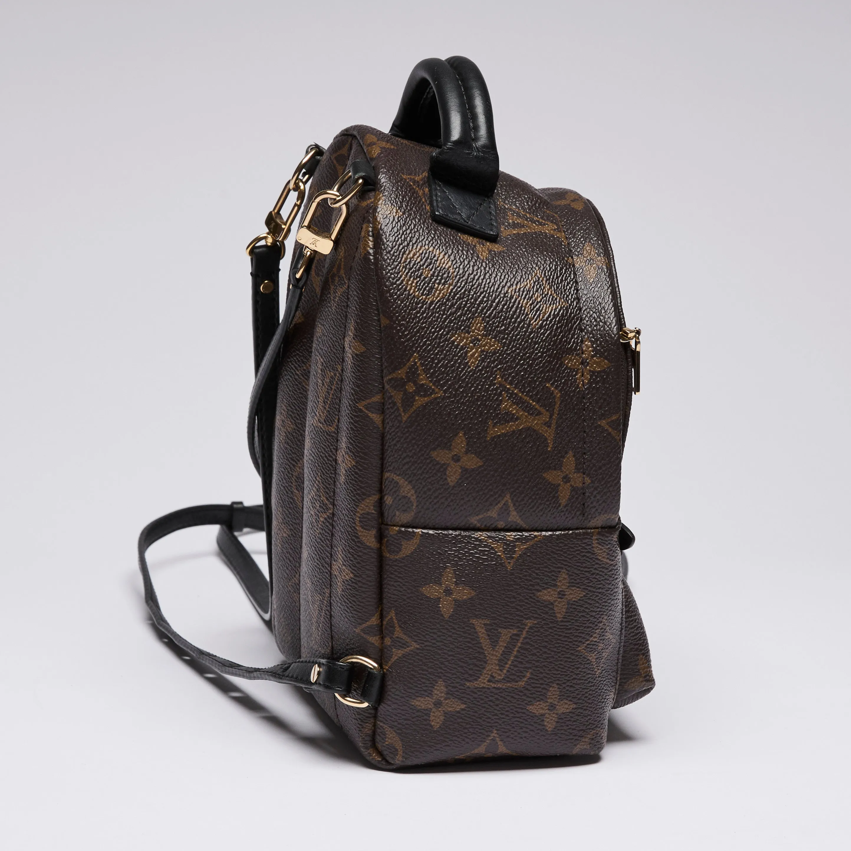 Louis Vuitton Monogram Canvas Mini Palm Spring Back Pack