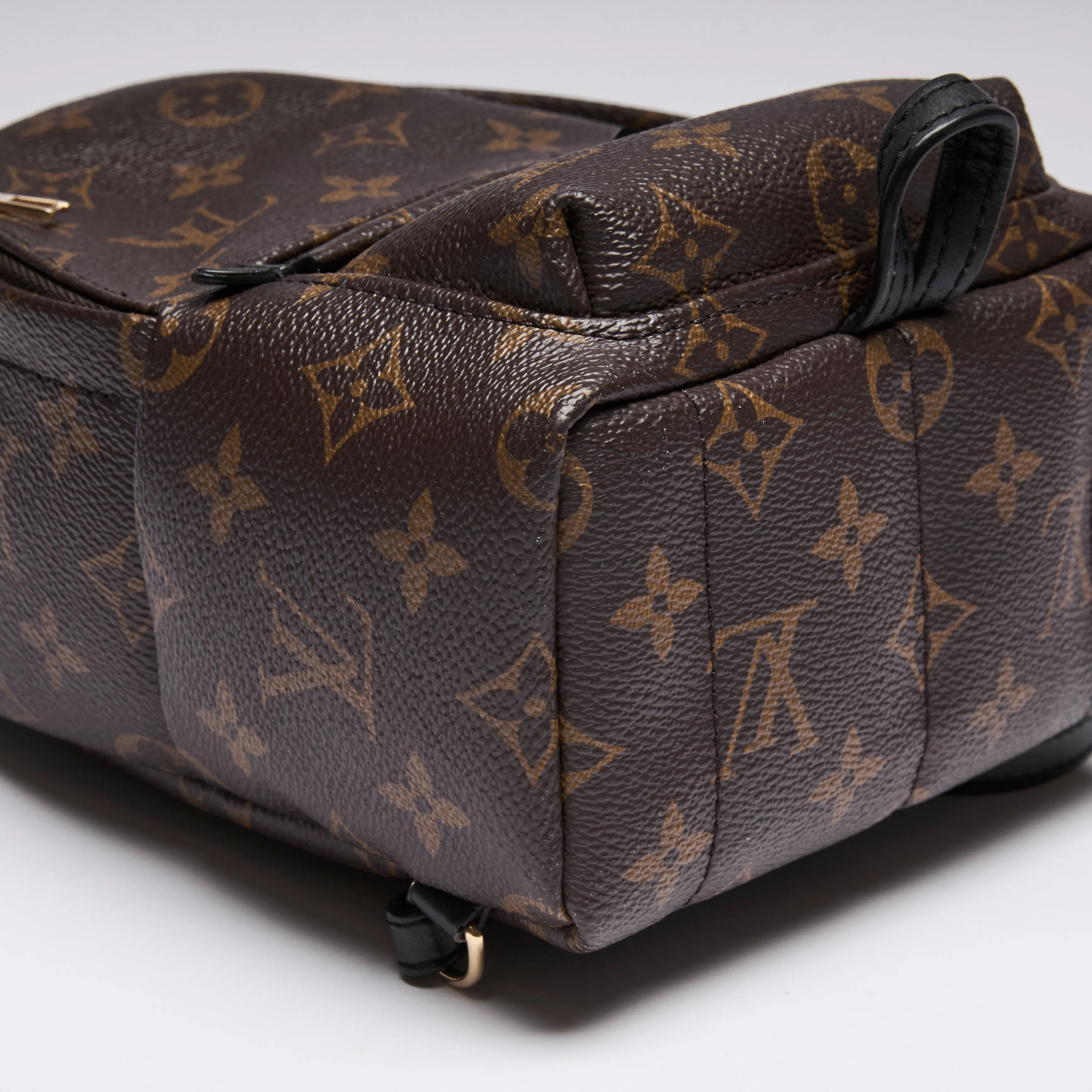 Louis Vuitton Monogram Canvas Mini Palm Spring Back Pack