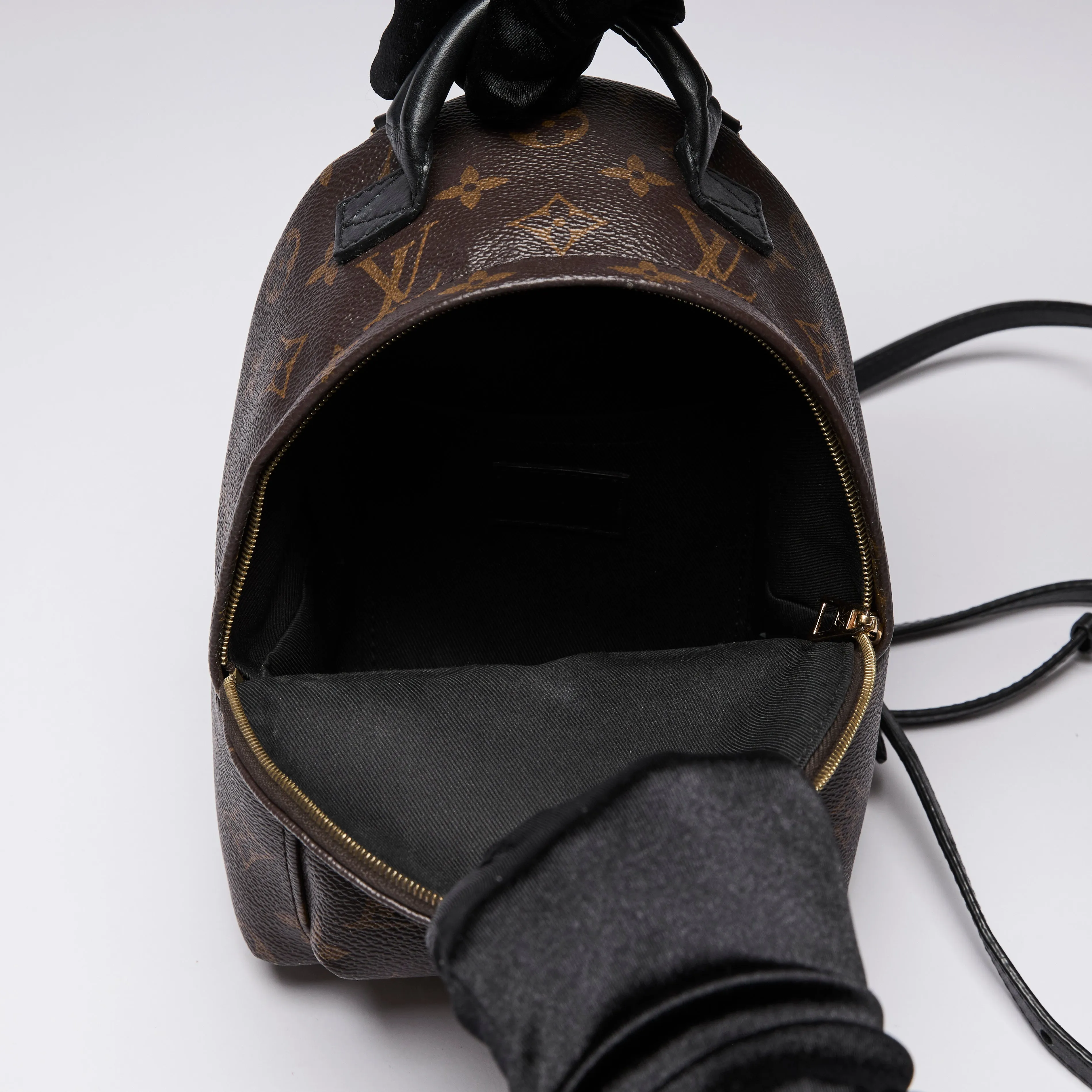 Louis Vuitton Monogram Canvas Mini Palm Spring Back Pack