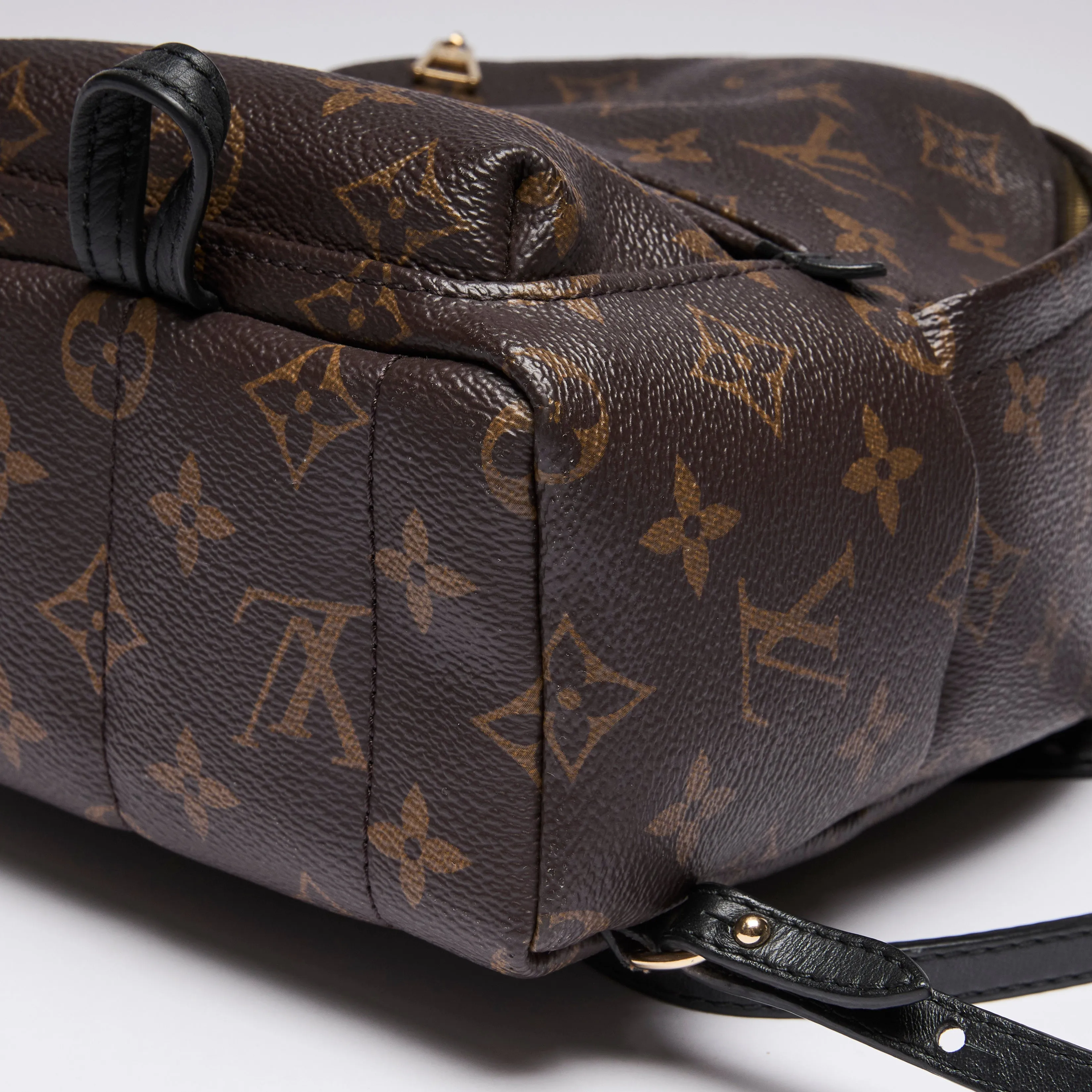 Louis Vuitton Monogram Canvas Mini Palm Spring Back Pack