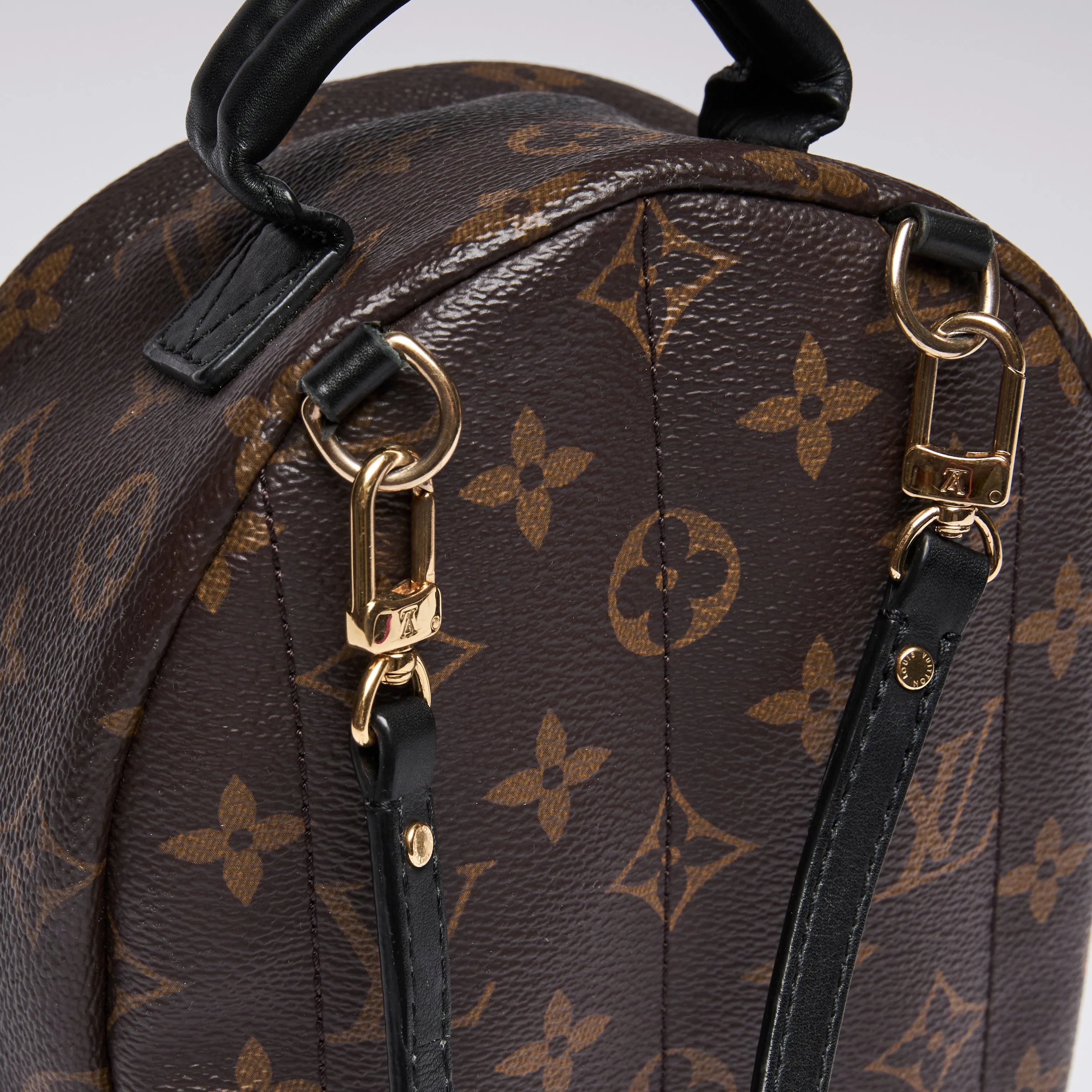 Louis Vuitton Monogram Canvas Mini Palm Spring Back Pack