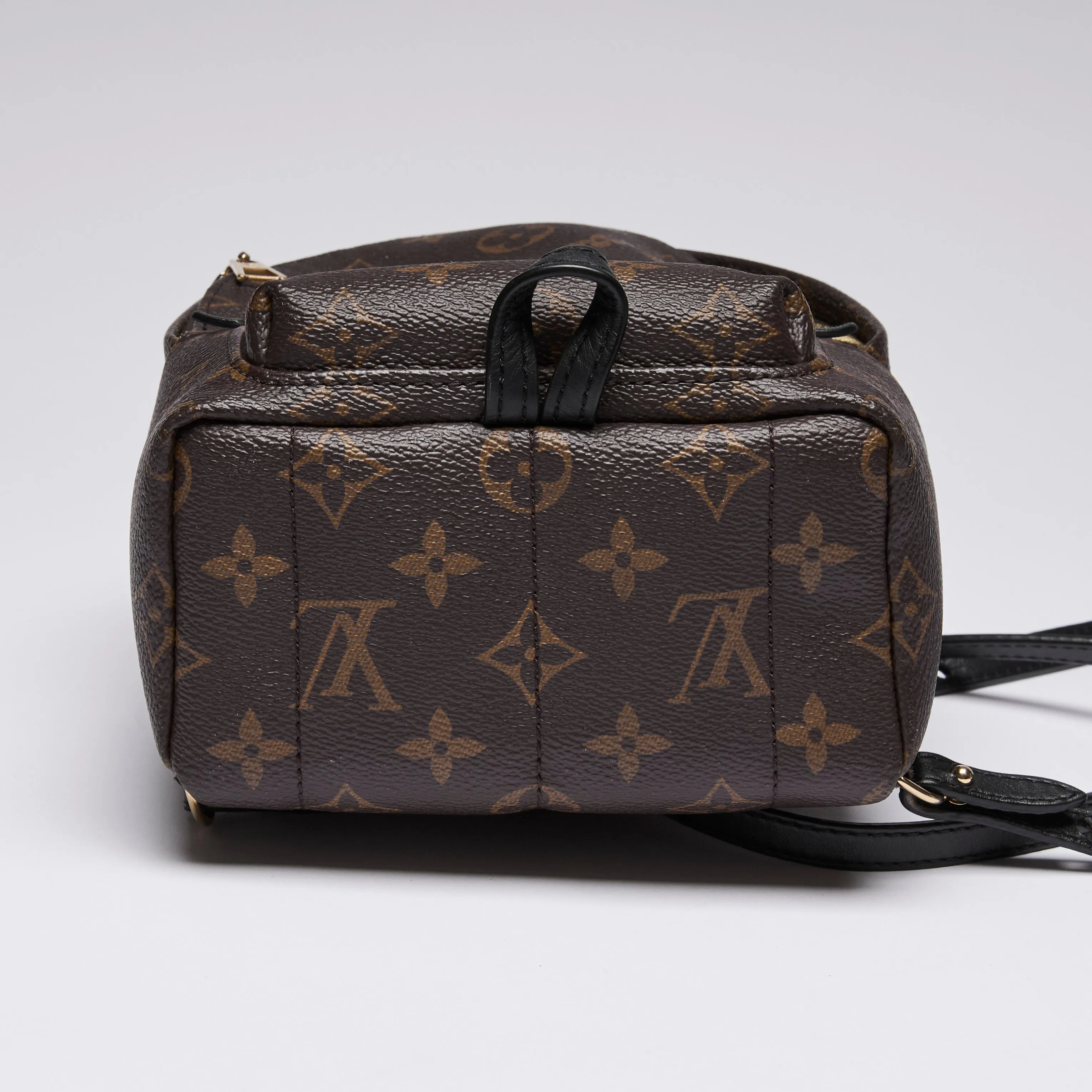 Louis Vuitton Monogram Canvas Mini Palm Spring Back Pack