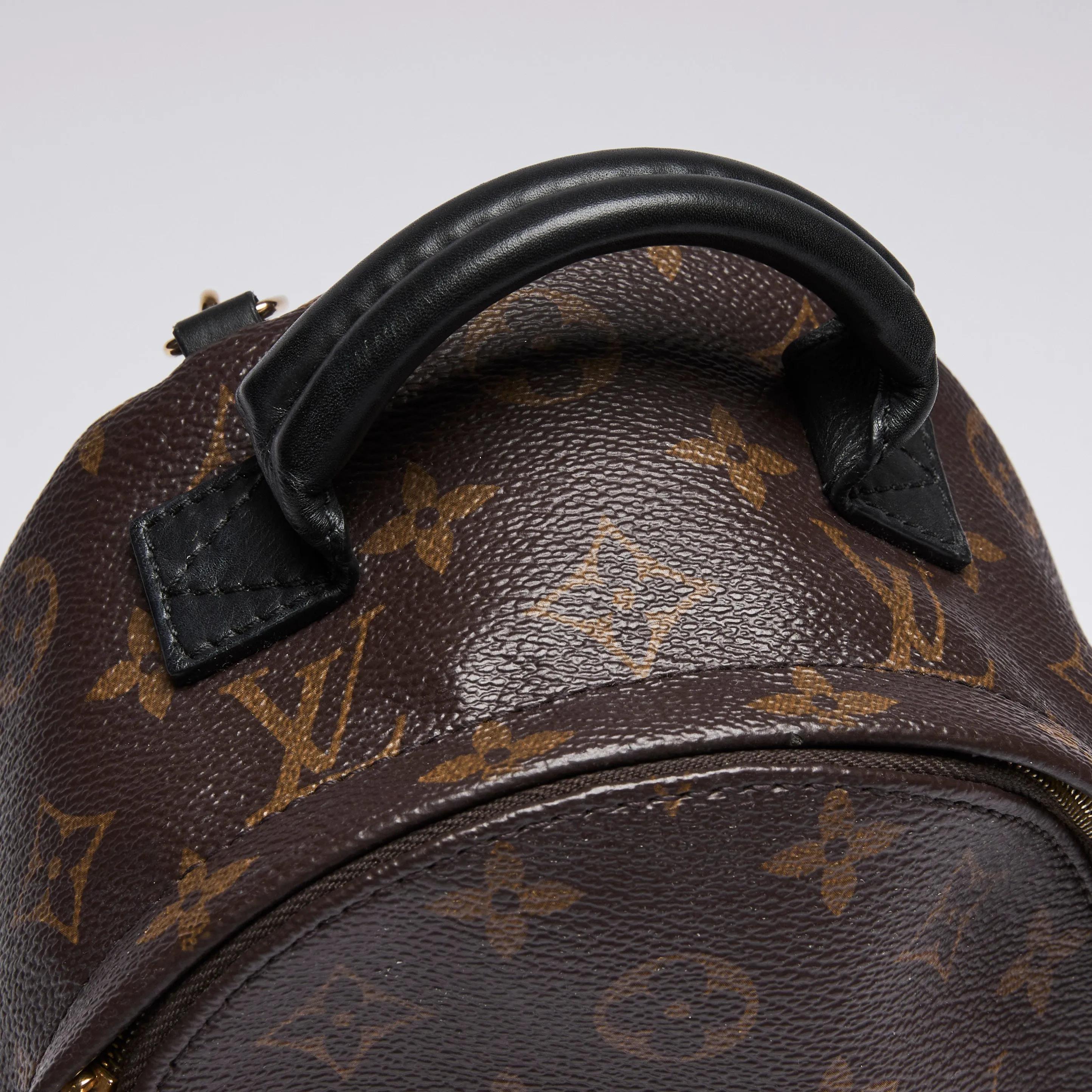 Louis Vuitton Monogram Canvas Mini Palm Spring Back Pack