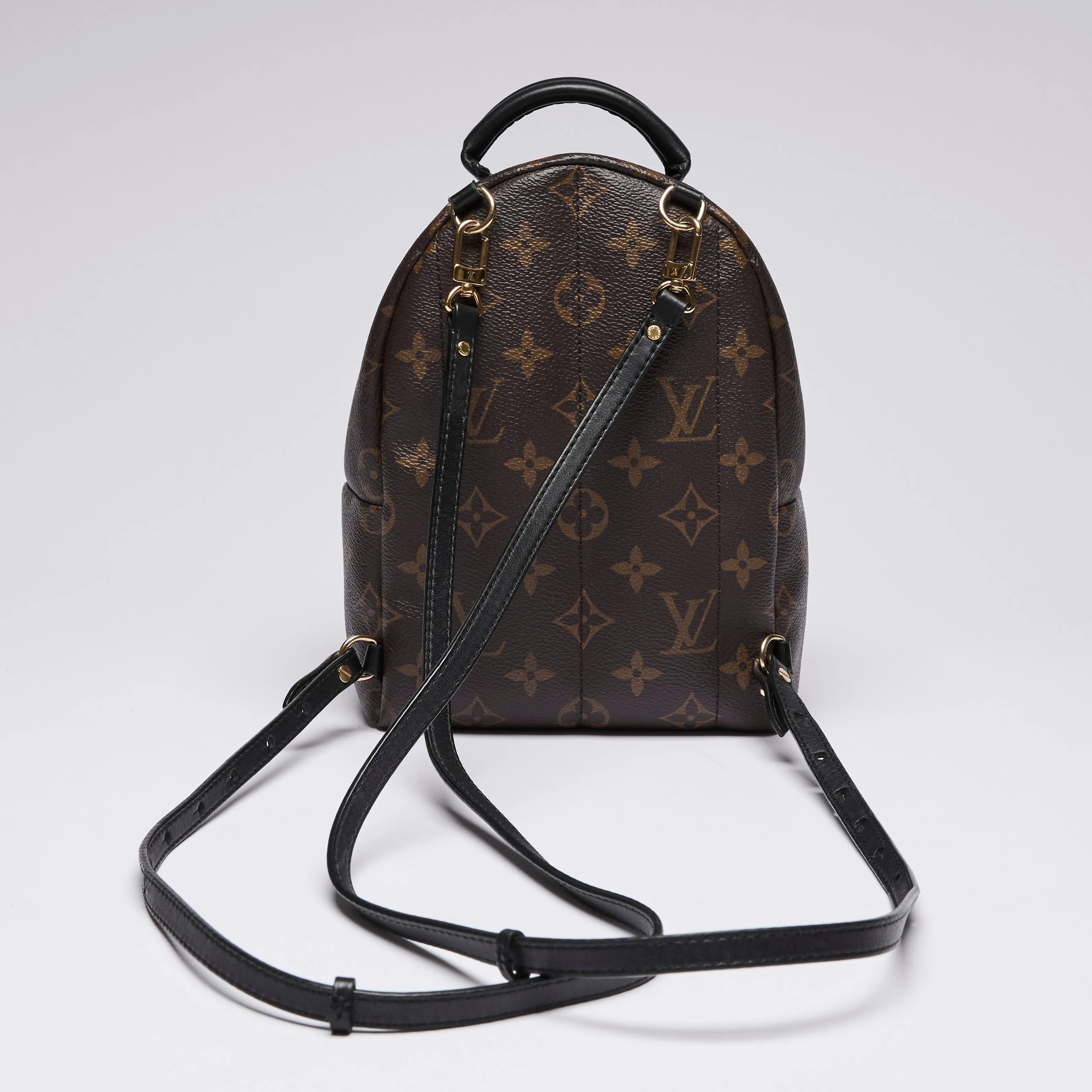 Louis Vuitton Monogram Canvas Mini Palm Spring Back Pack