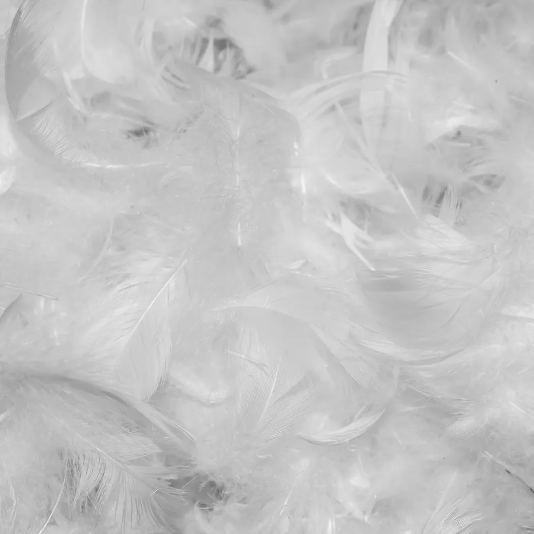 Luxury Goose Feather Pillows