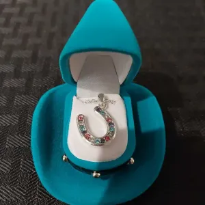 Multi Colored Horseshoe Necklace
