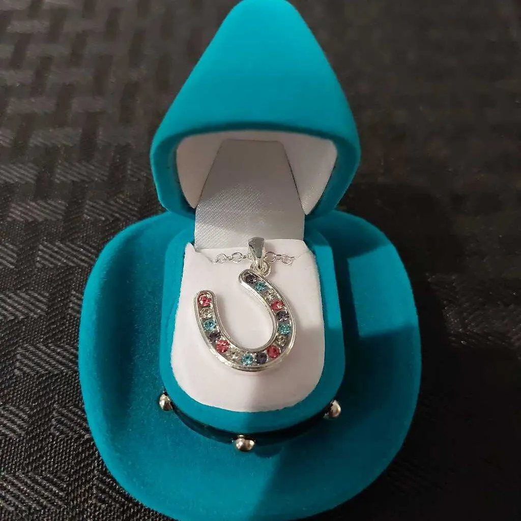 Multi Colored Horseshoe Necklace