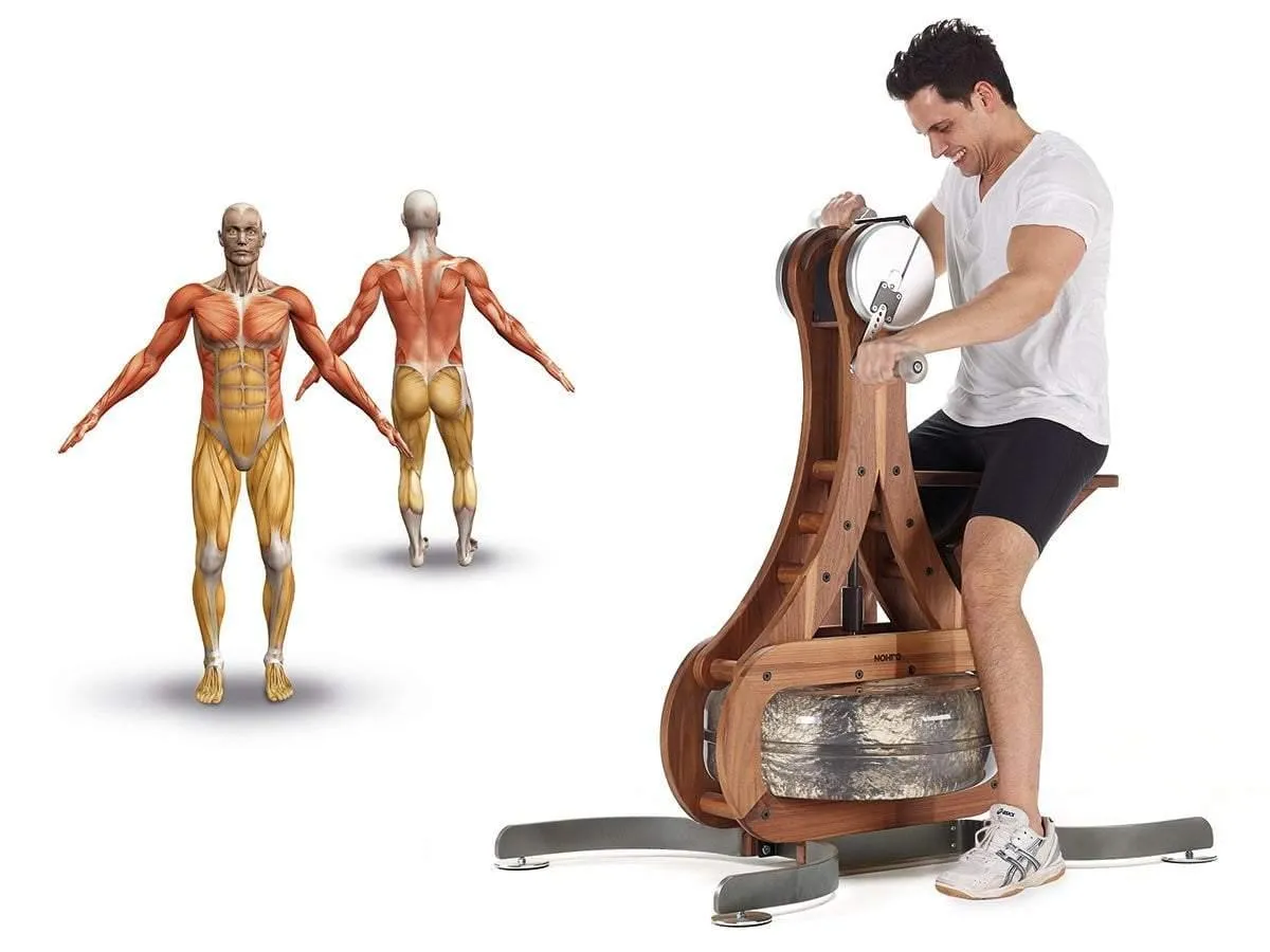 NOHrD WaterGrinder Upper Body Fitness Trainer