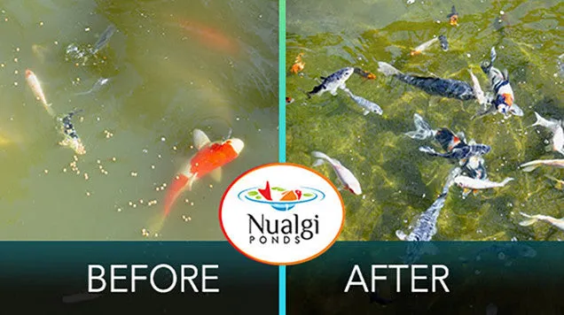 Nualgi Lake (Aquaritin)