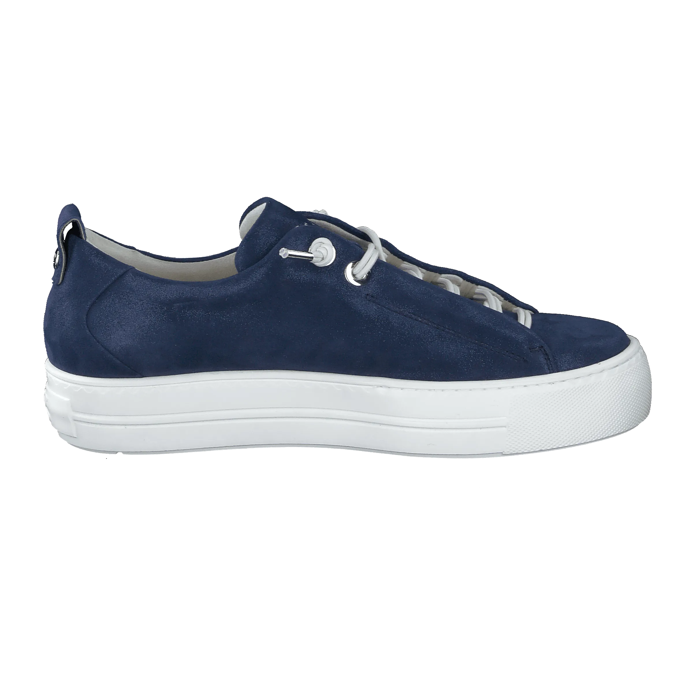 Paul Green 5017305-Trainer