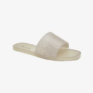 Shimmery  Flats for Women